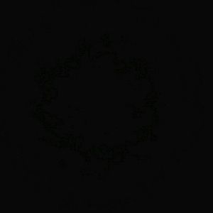 Meet your Posher, Zachary